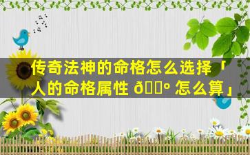 传奇法神的命格怎么选择「人的命格属性 🐺 怎么算」
